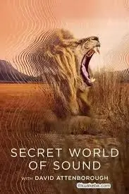 聆听地球心跳：《大卫·艾登堡：大自然的声音》震撼上映，感受生命之美！