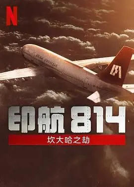 《印航814：坎大哈之劫》：真实事件改编，命悬一线的空中危机与人性的考验！