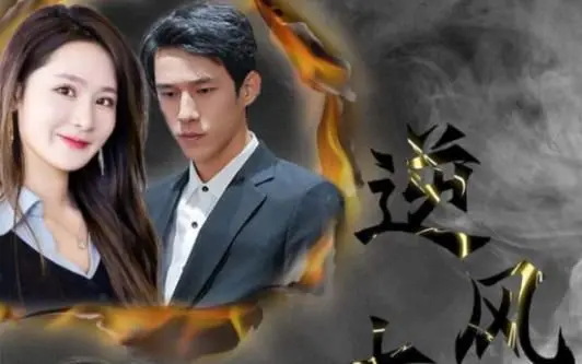 《逆风大小姐》：灰姑娘蜕变记，平凡少女的逆袭之路，爱情、事业双丰收的励志传说