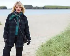 《设得兰谜案 第九季》：北境寒风下的经典悬疑，人性迷局与地域风情的绝妙融合